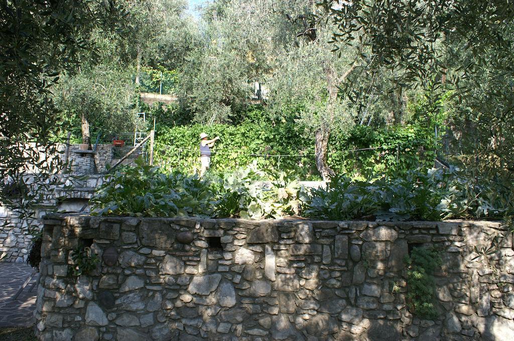 Hotel Riviera Panoramic Green Resort Limone sul Garda Luaran gambar