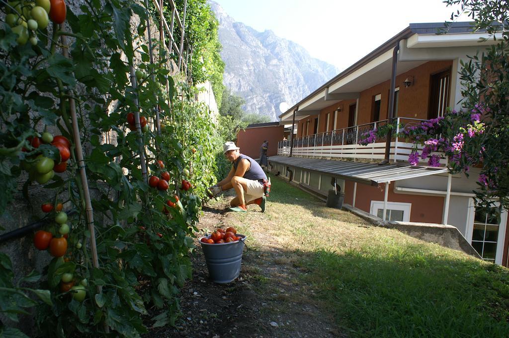 Hotel Riviera Panoramic Green Resort Limone sul Garda Luaran gambar